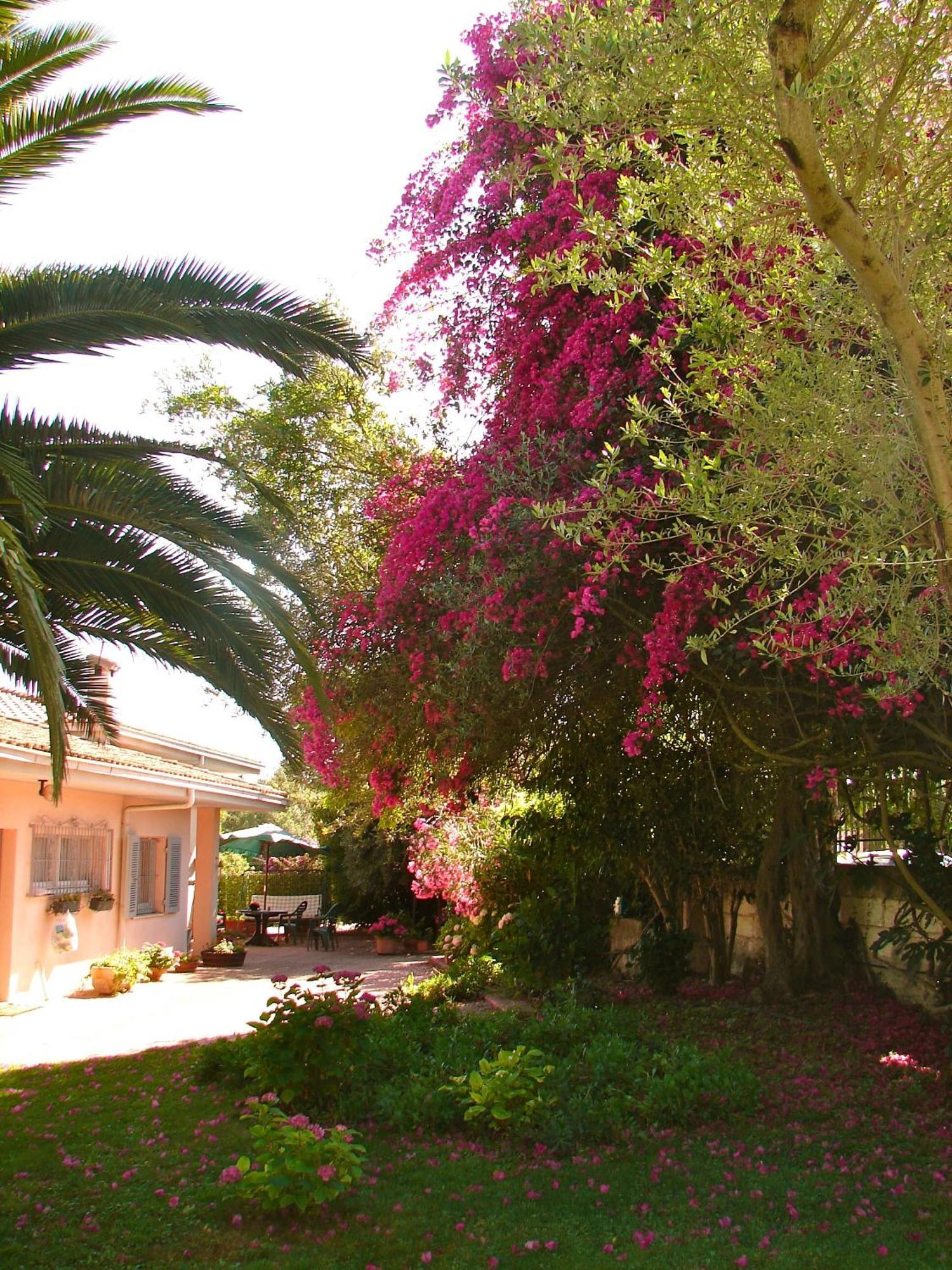 Parco Delle Valli Sassari Exterior foto